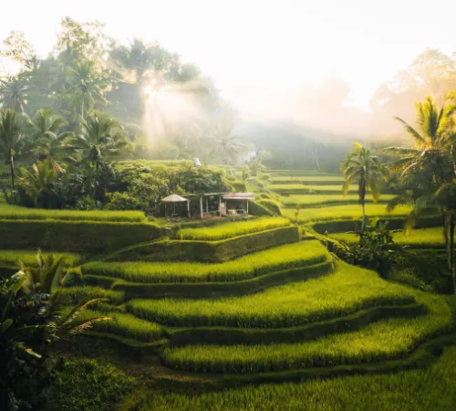 Bali Escape: Kuta and Seminyak Delight